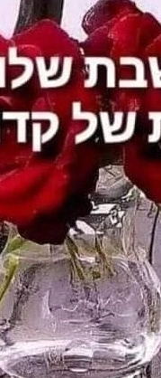 בלה